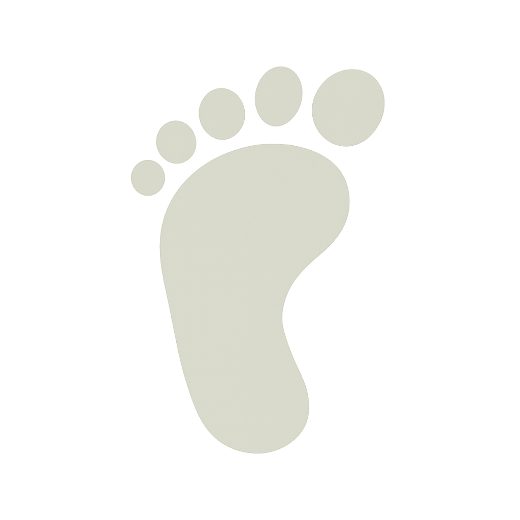 Footprint 